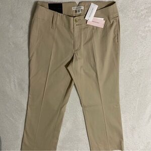 Banana Republic Tan Chino Pants